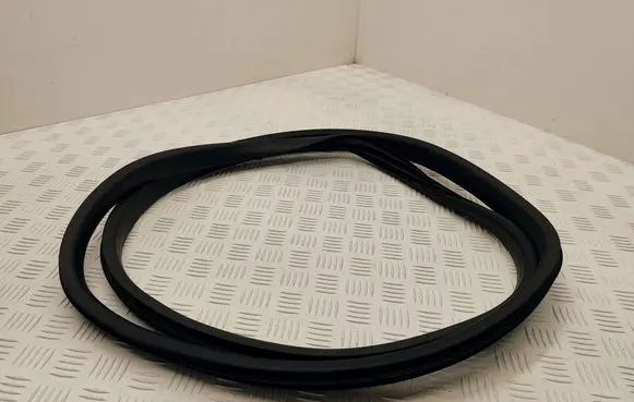 Renault Scenic IV - Grand scenic IV Rear door rubber seal (on body) 