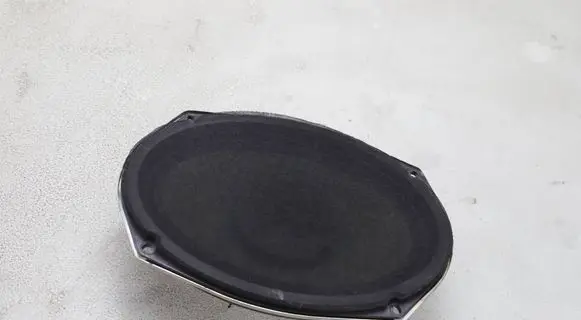 Dodge RAM 1500 DS Front door speaker 05091019AB EASA23D22A4