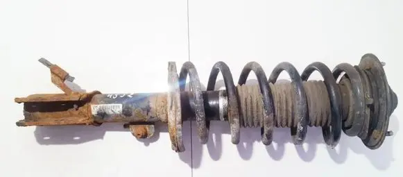 Opel Antara Front shock absorber/damper 96809737
