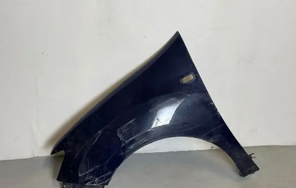 Renault Sandero II Fender