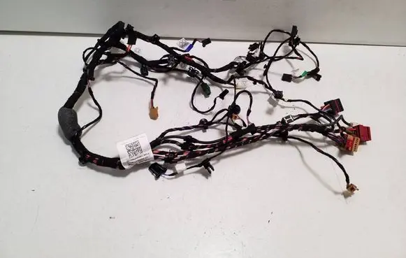 Porsche Taycan 9J1 Other wiring loom 9JA971641CA