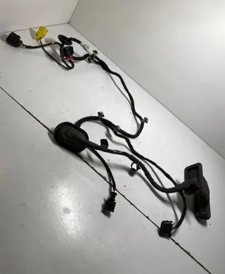 Volkswagen PASSAT B6 Front door wiring loom 3C1971120BP
