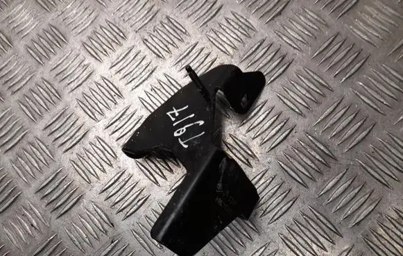 Renault Zoe Engine mounting bracket 926124398R