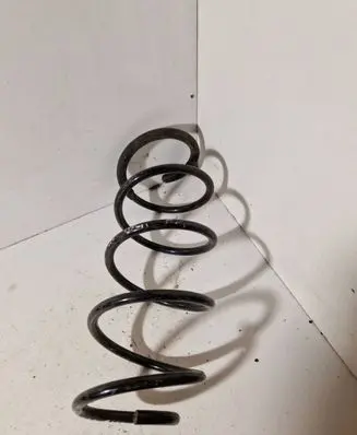Rear coil spring