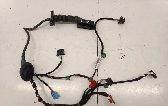 Rear door wiring loom