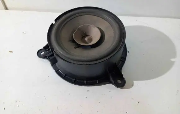 Renault Zoe Front door speaker