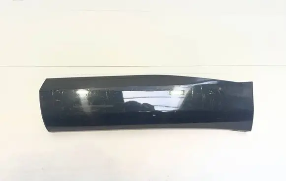 Renault Austral Rear door trim (molding) 828213826RA