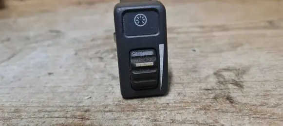 Panel lighting control switch