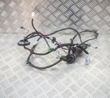 Tesla Model S Other wiring loom 100442600R