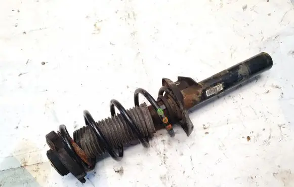 Volkswagen Golf V Front shock absorber/damper 1k0413031bf