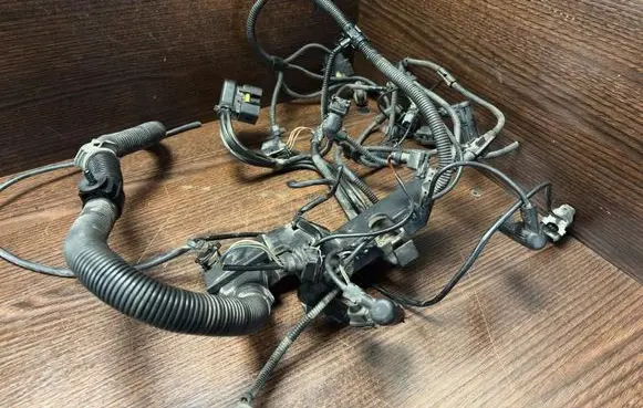 Other wiring loom