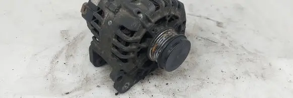Volkswagen PASSAT B5.5 Generator/alternator 028903031A