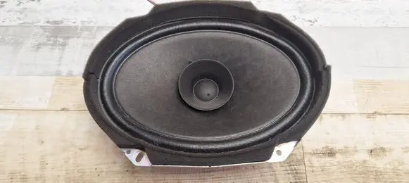 Rear door speaker