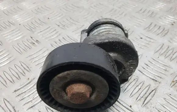 Seat Cordoba (6L) Generator/alternator belt tensioner 038903315