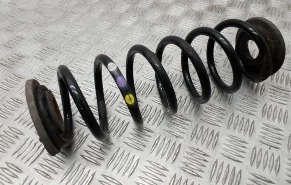 Volkswagen PASSAT B7 Rear coil spring