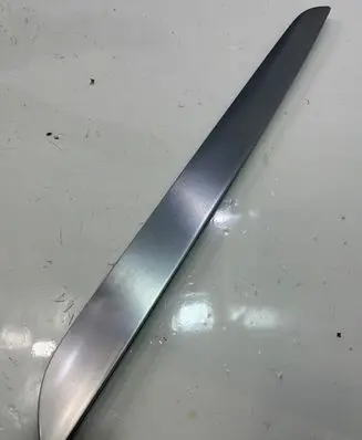 Volkswagen PASSAT CC Rear door trim (molding) 3C8 |000000000000004545