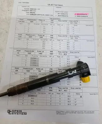 Mercedes-Benz Sprinter W906 Fuel injector 28307309 A6510703087 1628001331863