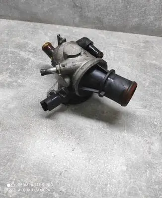 Thermostat/thermostat housing