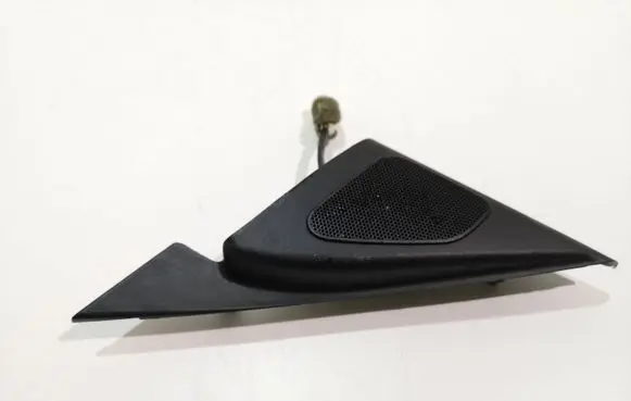 Hyundai Sonata Front door speaker
