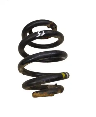 Volkswagen Transporter - Caravelle T5 Rear coil spring