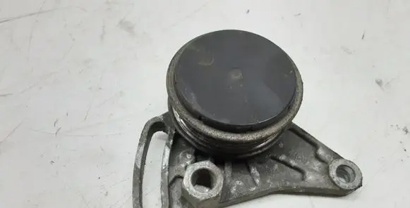 Volkswagen PASSAT B5.5 Air conditioning tensioner 230875