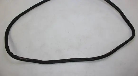 BMW X3 F25 Rubber seal front door (on door) 7205697