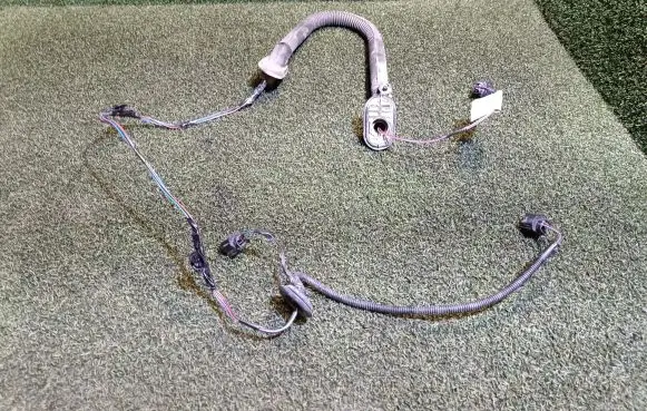 Rear door wiring loom
