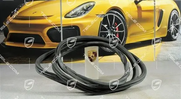 Porsche Cayenne (92A) Rubber seal front coupe door 95853736502