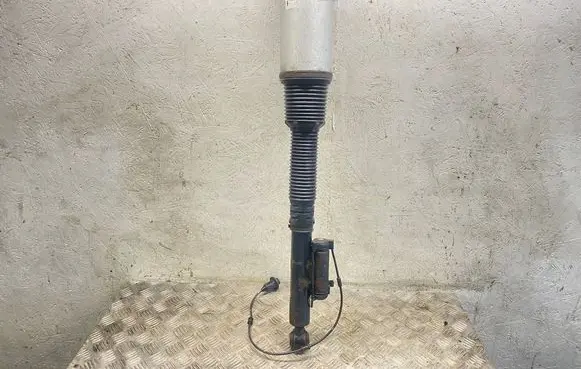 Mercedes-Benz S W220 Air suspension rear shock absorber C086054 010119007962