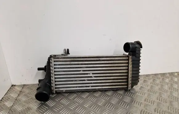 Ford Transit - Tourneo Connect Intercooler radiator BV619L440CK