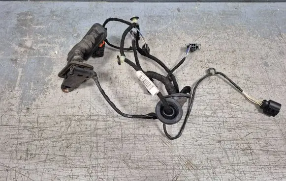 Volkswagen PASSAT B7 Rear door wiring loom