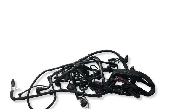 Mercedes-Benz R W251 Engine installation wiring loom A6421507433