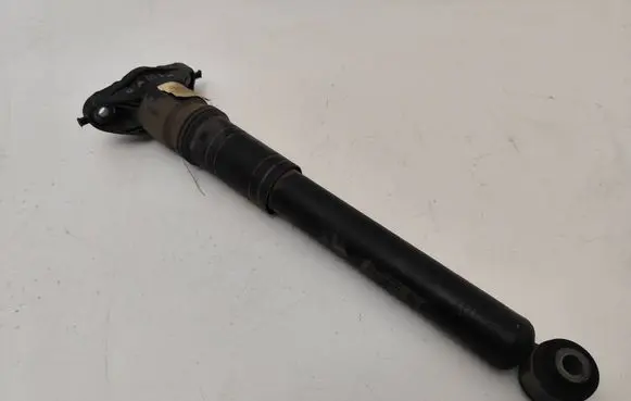 Citroen C4 III e-C4 Rear shock absorber/damper 9841379480 0081037H01 03011001138