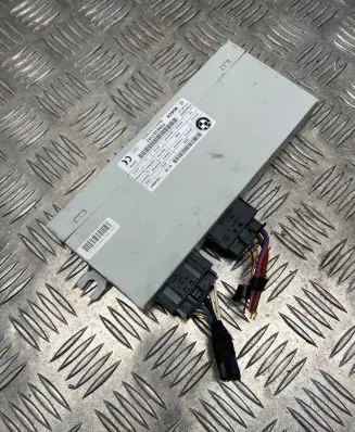 BMW 5 F10 F11 Tailgate/trunk control unit/module 7304902 F005V01102 100645510