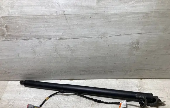 Ford Kuga III Tailgate/trunk strut/damper LV4BS402A55AE