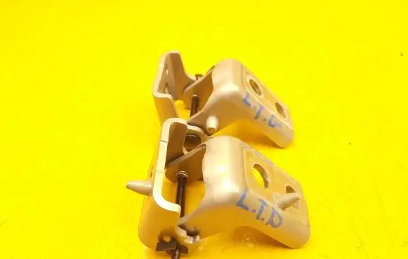 Citroen DS3 Rear door lower hinge
