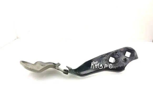 Tesla Model 3 Engine bonnet/hood hinges 4109679300D