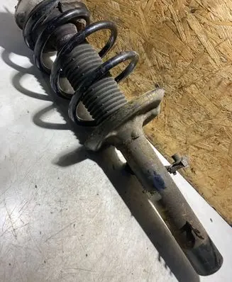 BMW X3 E83 Front shock absorber/damper 824904000769