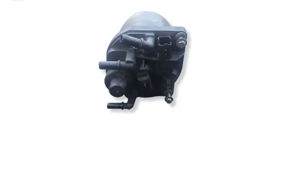 Peugeot 5008 Fuel filter 