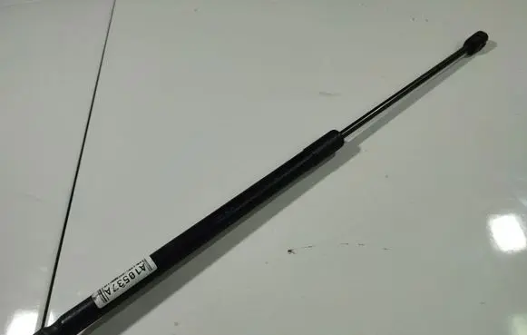 Tailgate/trunk strut/damper