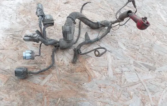 Infiniti G20 Other wiring loom