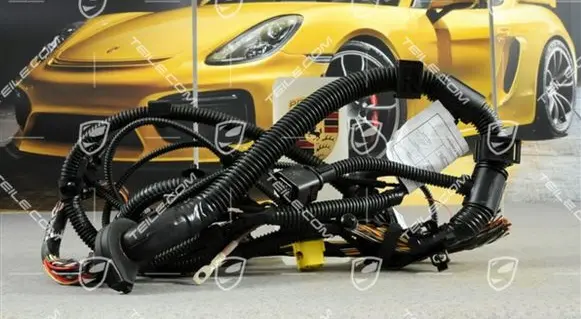 Porsche Cayenne (9PA) Other wiring loom 95561291610