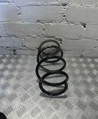 Front coil spring
