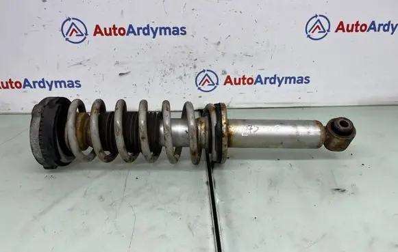 BMW X3 F25 Rear shock absorber/damper 6796317 33526796317