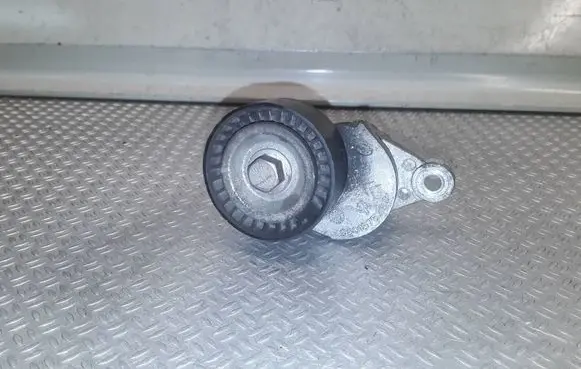Citroen C5 Generator/alternator belt tensioner 9801875280