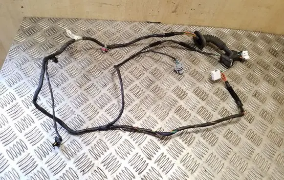 Rear door wiring loom