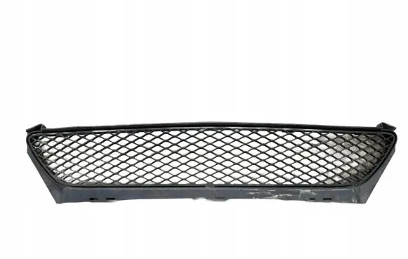 Mercedes-Benz SLK R171 Front bumper lower grill A1718850123