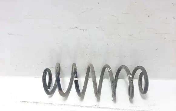 Volkswagen Golf VI Rear coil spring 