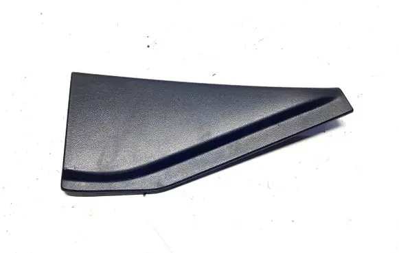Other rear door trim element