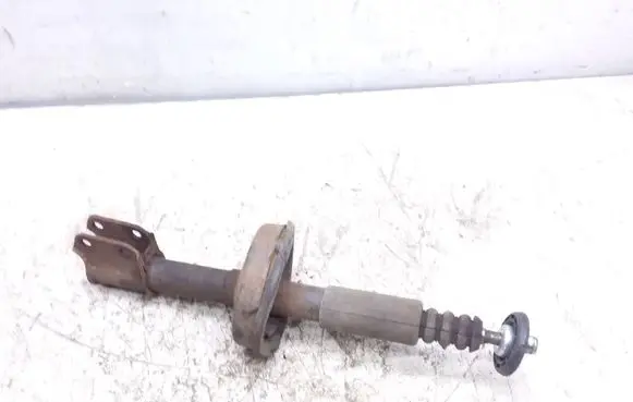 Renault Kangoo I Front shock absorber/damper